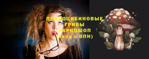 дурь Волосово
