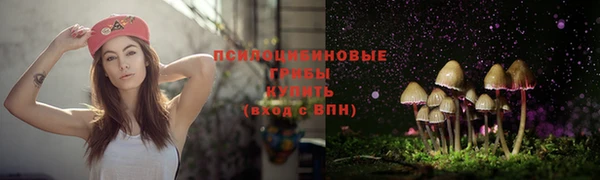 альфа пвп Волоколамск