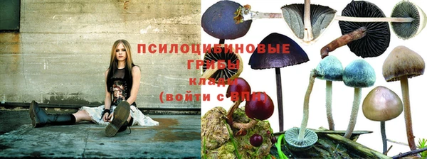 дурь Волосово