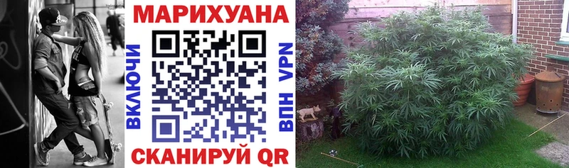 Бошки марихуана SATIVA & INDICA  Славянск-на-Кубани 